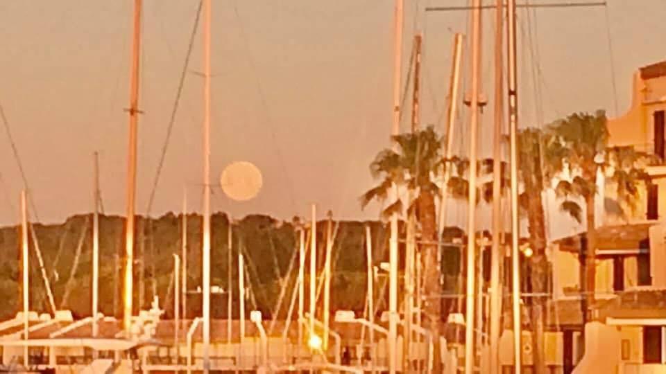 Апартаменты Petit Cocon Magnifique Vue Sur Marina Dans Le Golfe De Saint Tropez Коголин Экстерьер фото